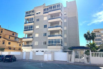 Бунгало - Новобудова - Torrevieja - Torrevieja
