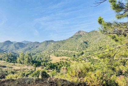 Ділянка - Перепродаж - Benahavís - MI-84766