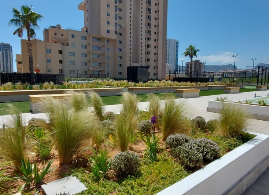 New Build - Apartment - Calpe