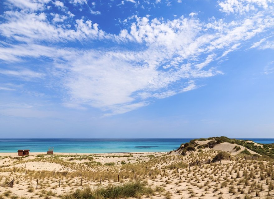 New Build - Apartment - Capdepera