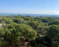 New Build - Apartment - Guardamar del Segura - Centro