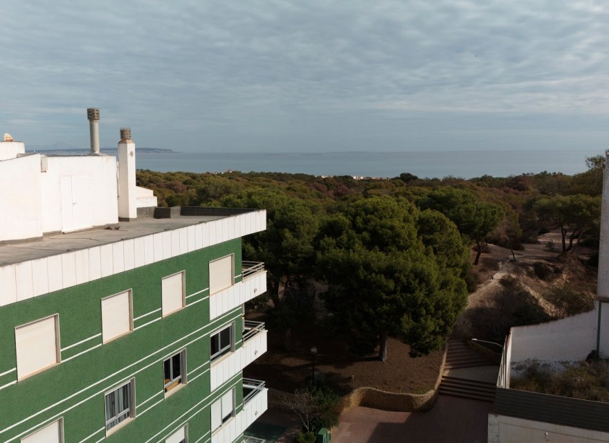 New Build - Apartment - Guardamar del Segura - Guardamar Del Segura