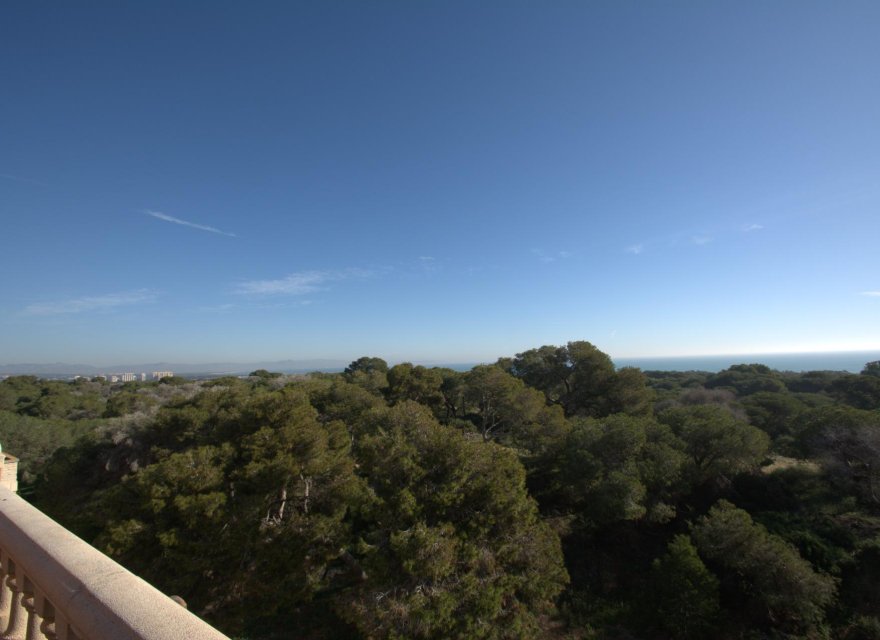 New Build - Apartment - Guardamar del Segura - Pueblo