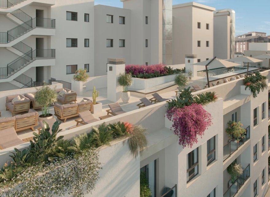 New Build - Apartment - Málaga