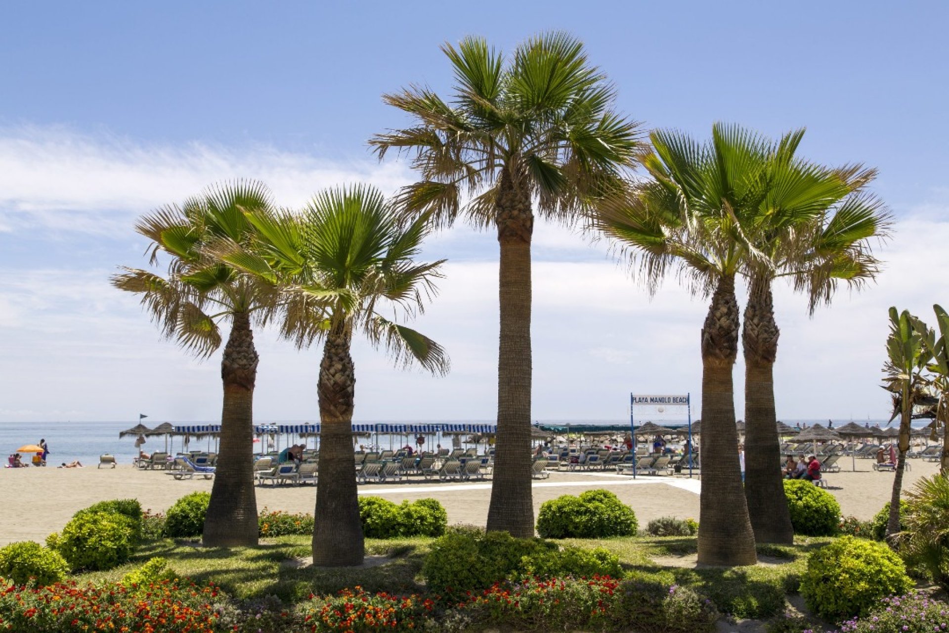 New Build - Apartment - Mijas - Las Lagunas de Mijas