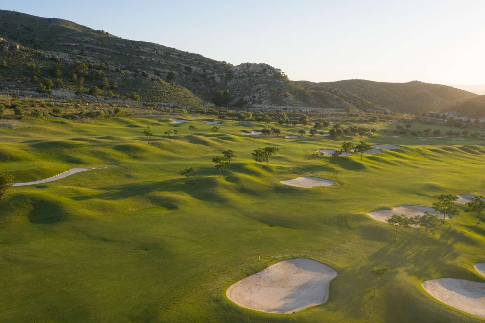 New Build - Apartment - Monforte del Cid - Font del Llop