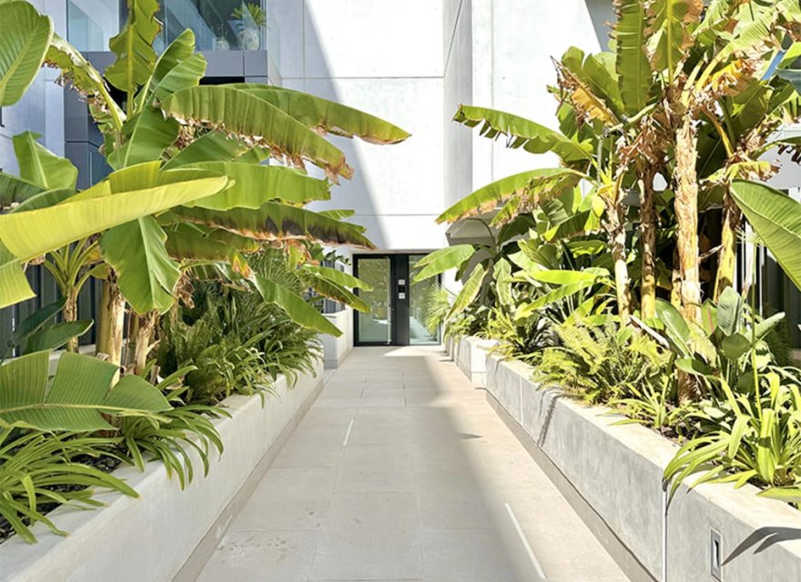 New Build - Apartment - Palma de Mallorca - Palma