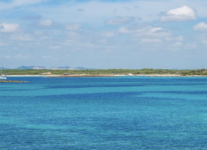 New Build - Apartment - Sa Rapita