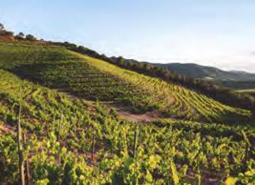 New Build - Apartment - Salou