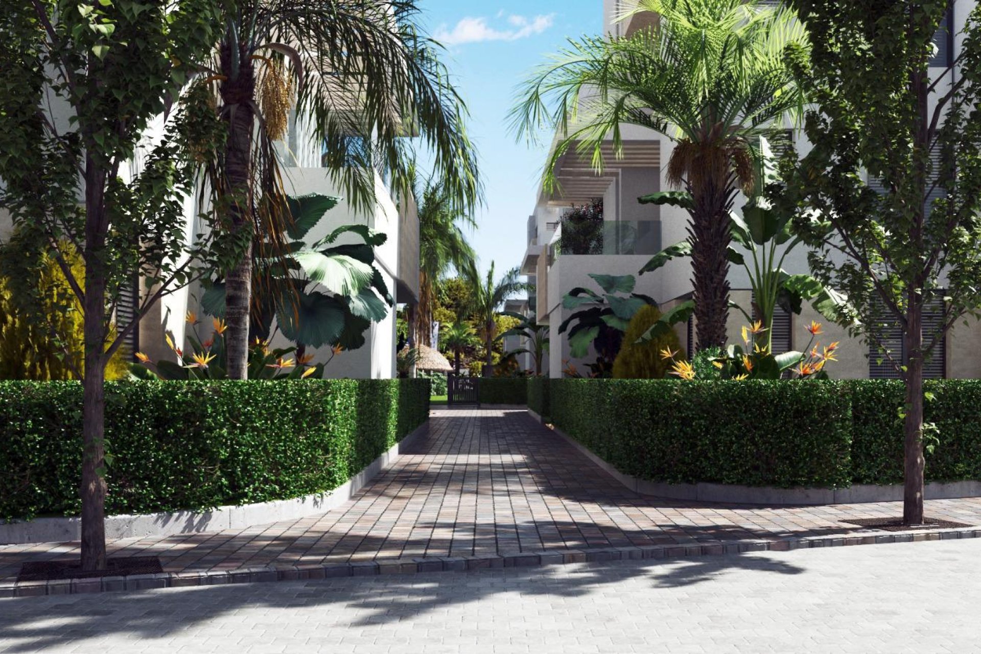 New Build - Apartment - Torre Pacheco - Torre-Pacheco