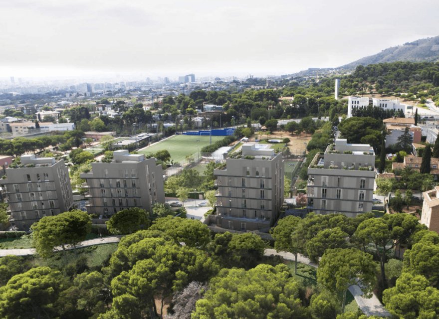 New Build - Apartment - Zona Alta