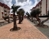New Build - Bungalow - Orihuela Costa