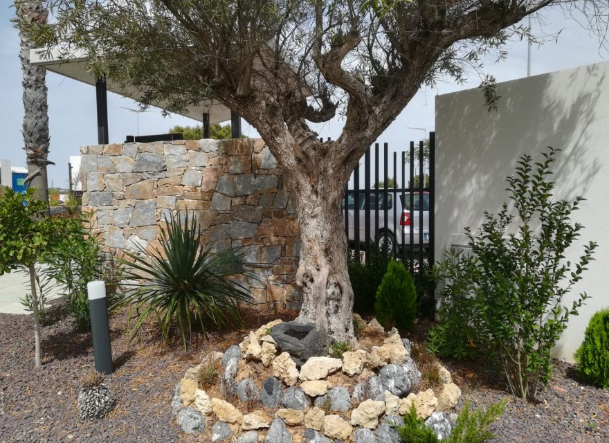 New Build - Bungalow - Torrevieja