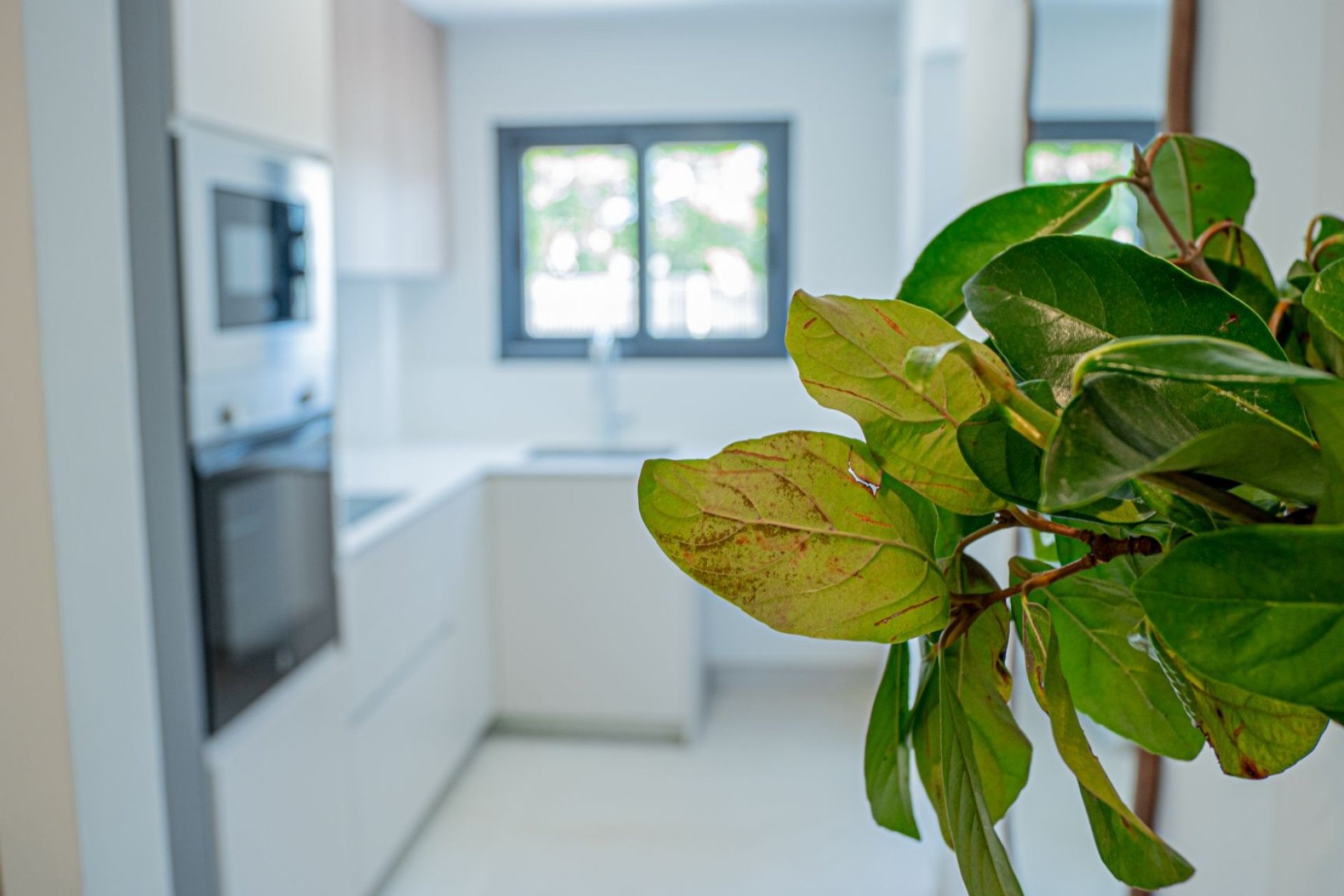 New Build - Duplex - Jávea - Jávea/Xàbia