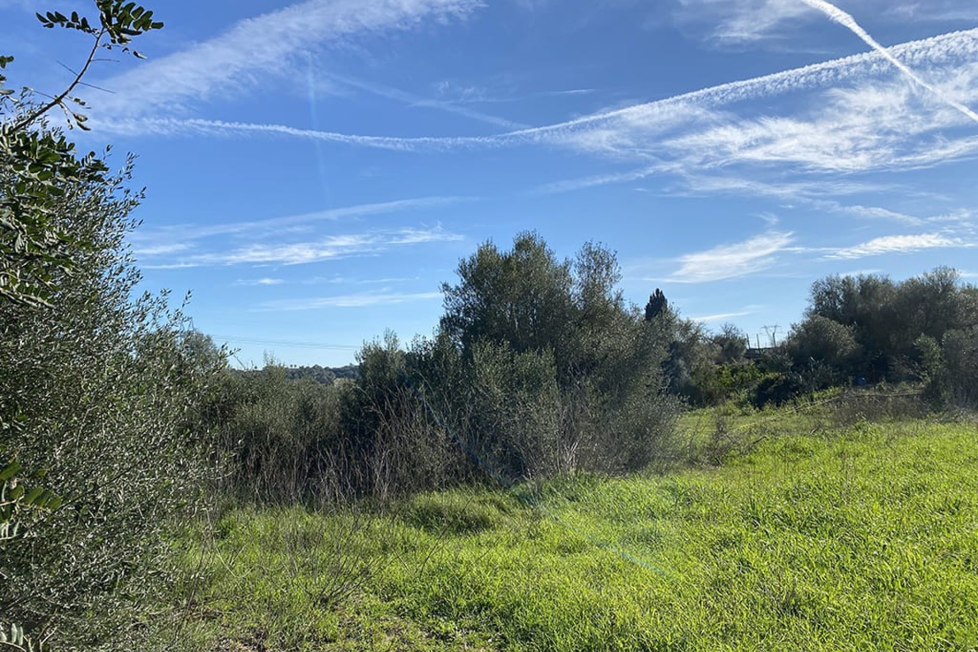 New Build - Land - Muro