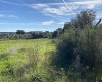 New Build - Land - Muro