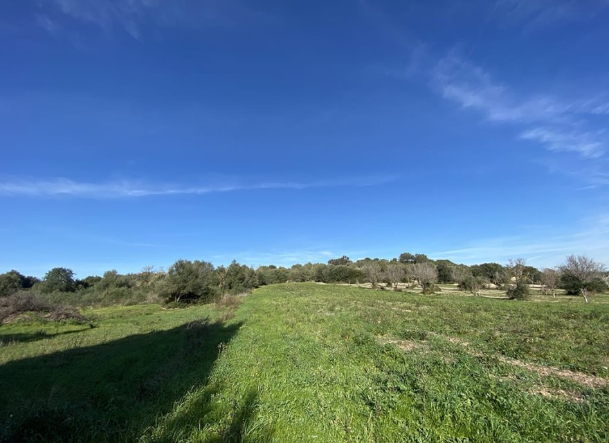 New Build - Land - Muro