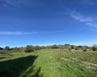 New Build - Land - Muro