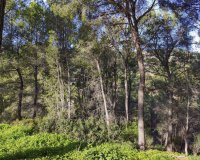 New Build - Land - Palma de Mallorca - Son Vida