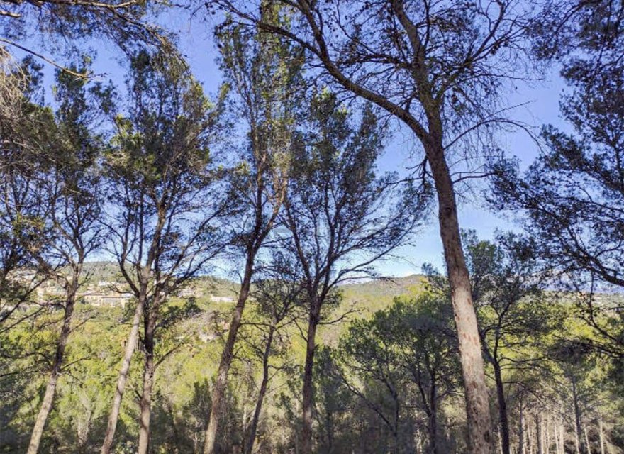 New Build - Land - Palma de Mallorca - Son Vida