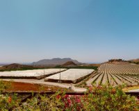 New Build - Villa - Aguilas