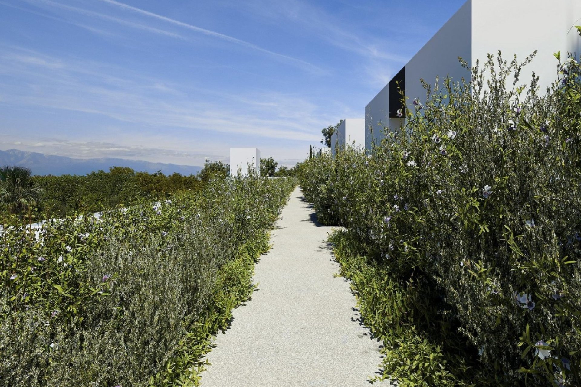 New Build - Villa - Albir  - Albir