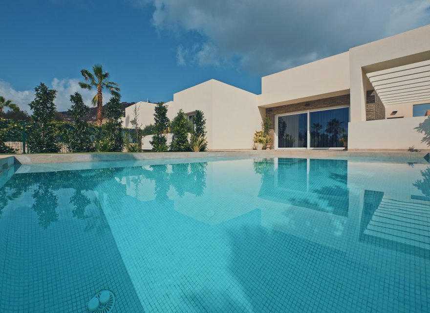 New Build - Villa - Algorfa  - La Finca Golf