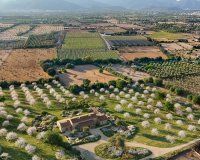 New Build - Villa - Binissalem