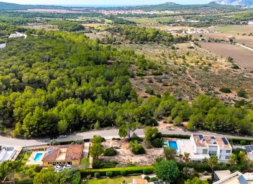 New Build - Villa - Cala Viñes