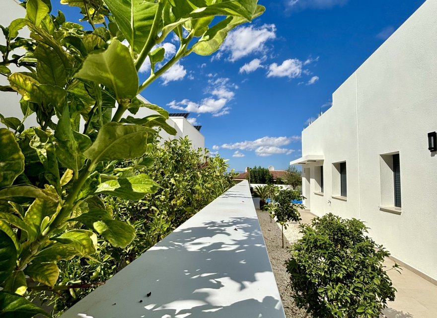 New Build - Villa - Ciudad Quesada - Benijofar