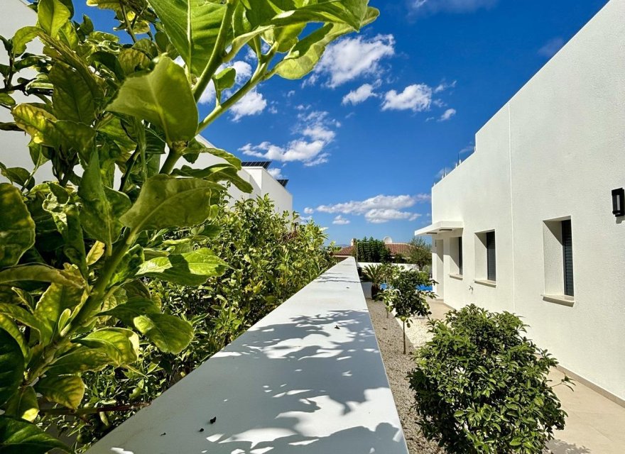 New Build - Villa - Ciudad Quesada - Pueblo