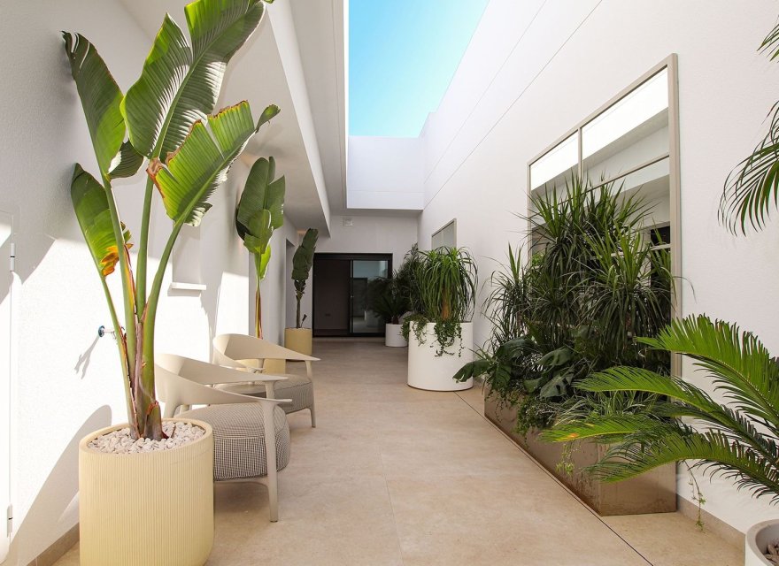 New Build - Villa - Ciudad Quesada