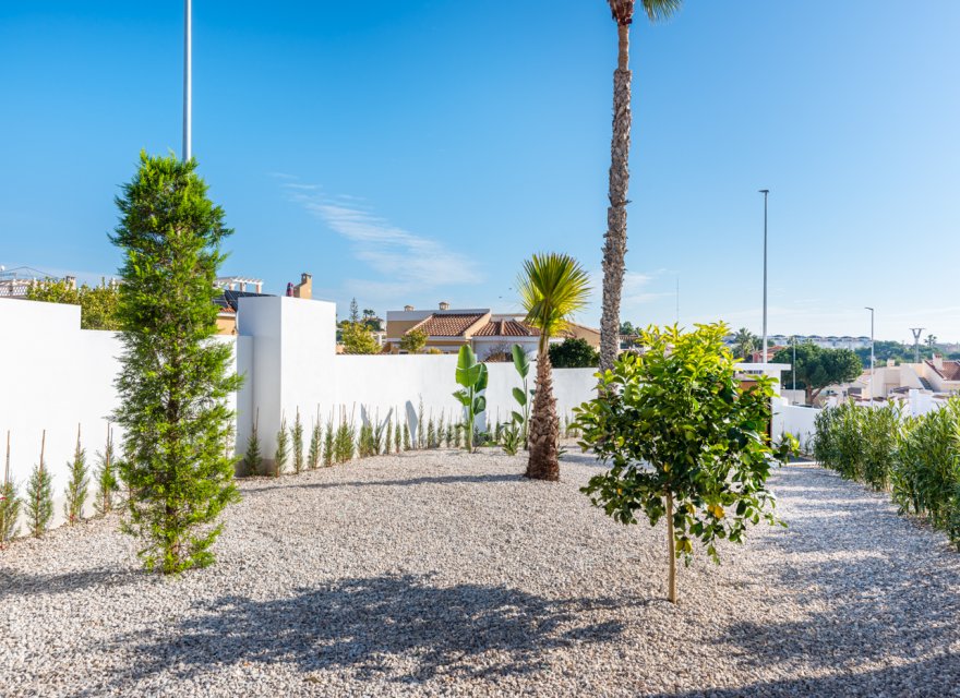 New Build - Villa - Ciudad Quesada