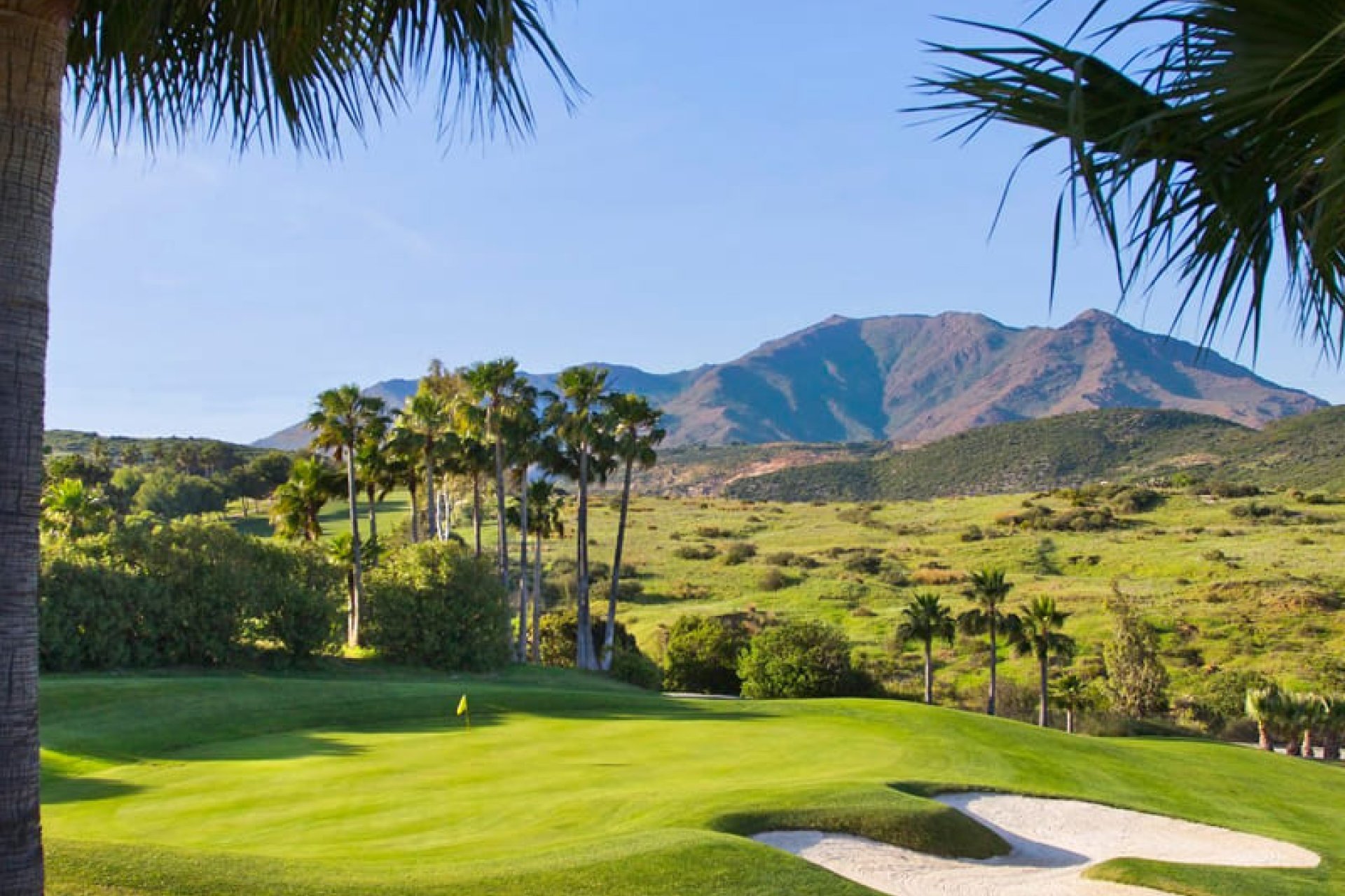 New Build - Villa - Еstepona - Estepona