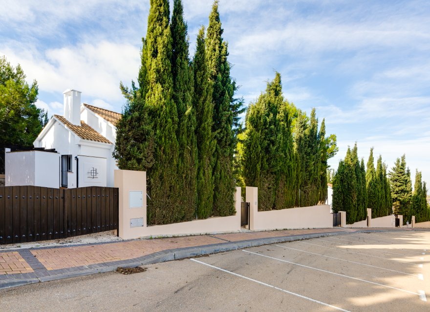 New Build - Villa - Fuente Álamo - Fuente Alamo