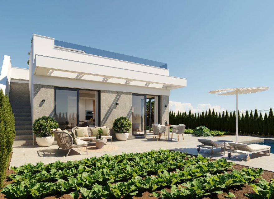 New Build - Villa - Fuente Álamo - Fuente Alamo