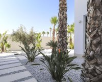 New Build - Villa - La Marina - La Marina / El Pinet