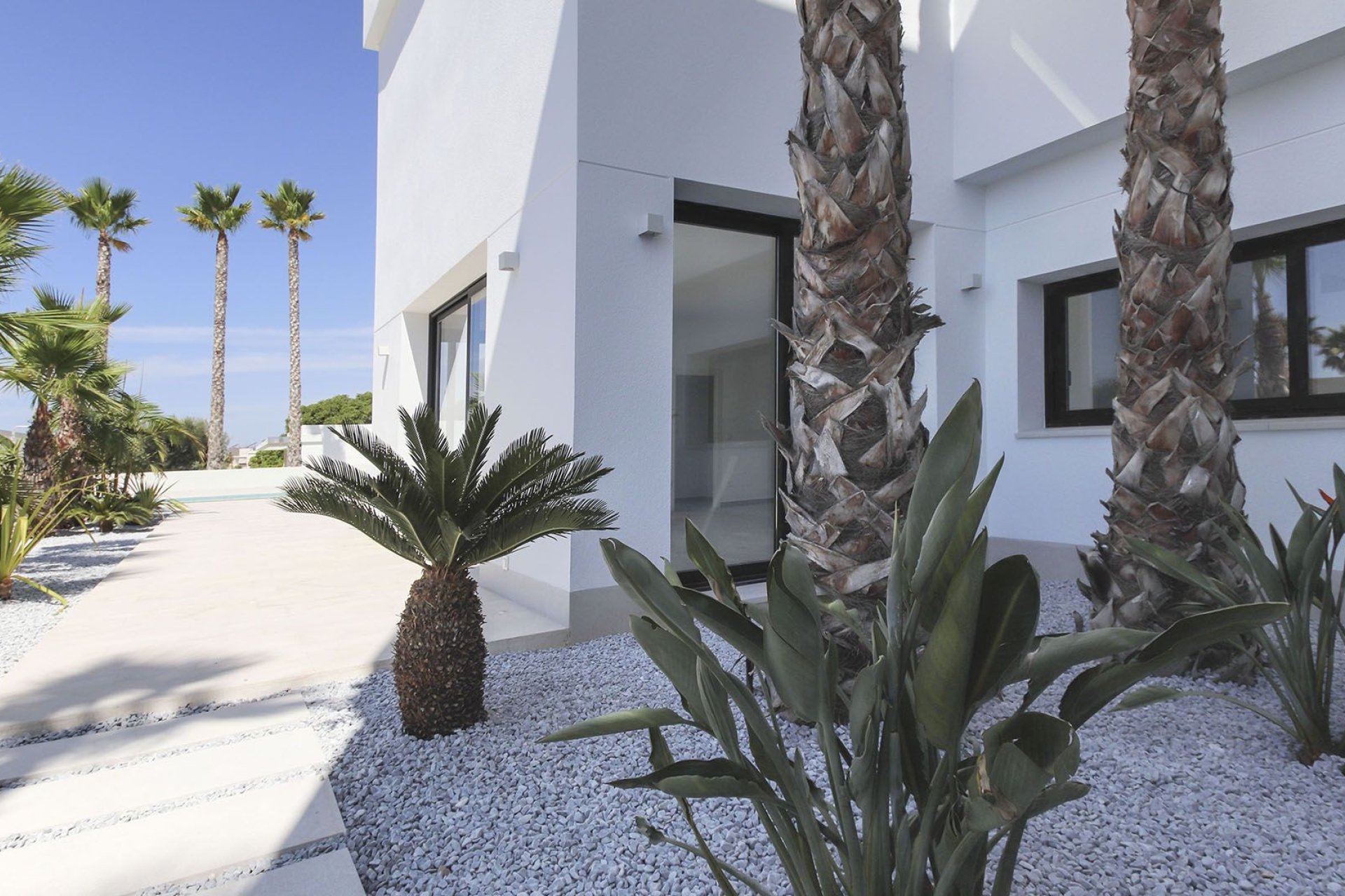 New Build - Villa - La Marina - La Marina / El Pinet