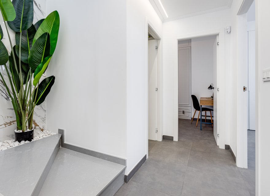 New Build - Villa - La Mata