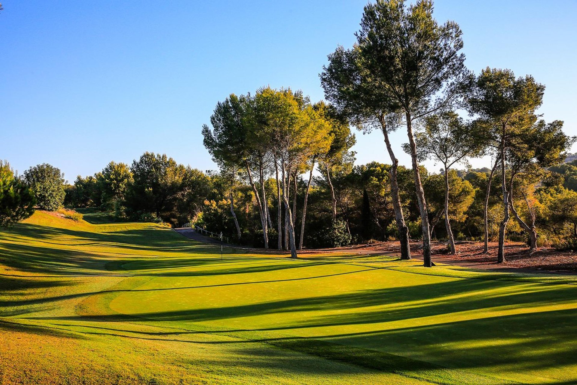 New Build - Villa - Orihuela Costa - Las Colinas Golf