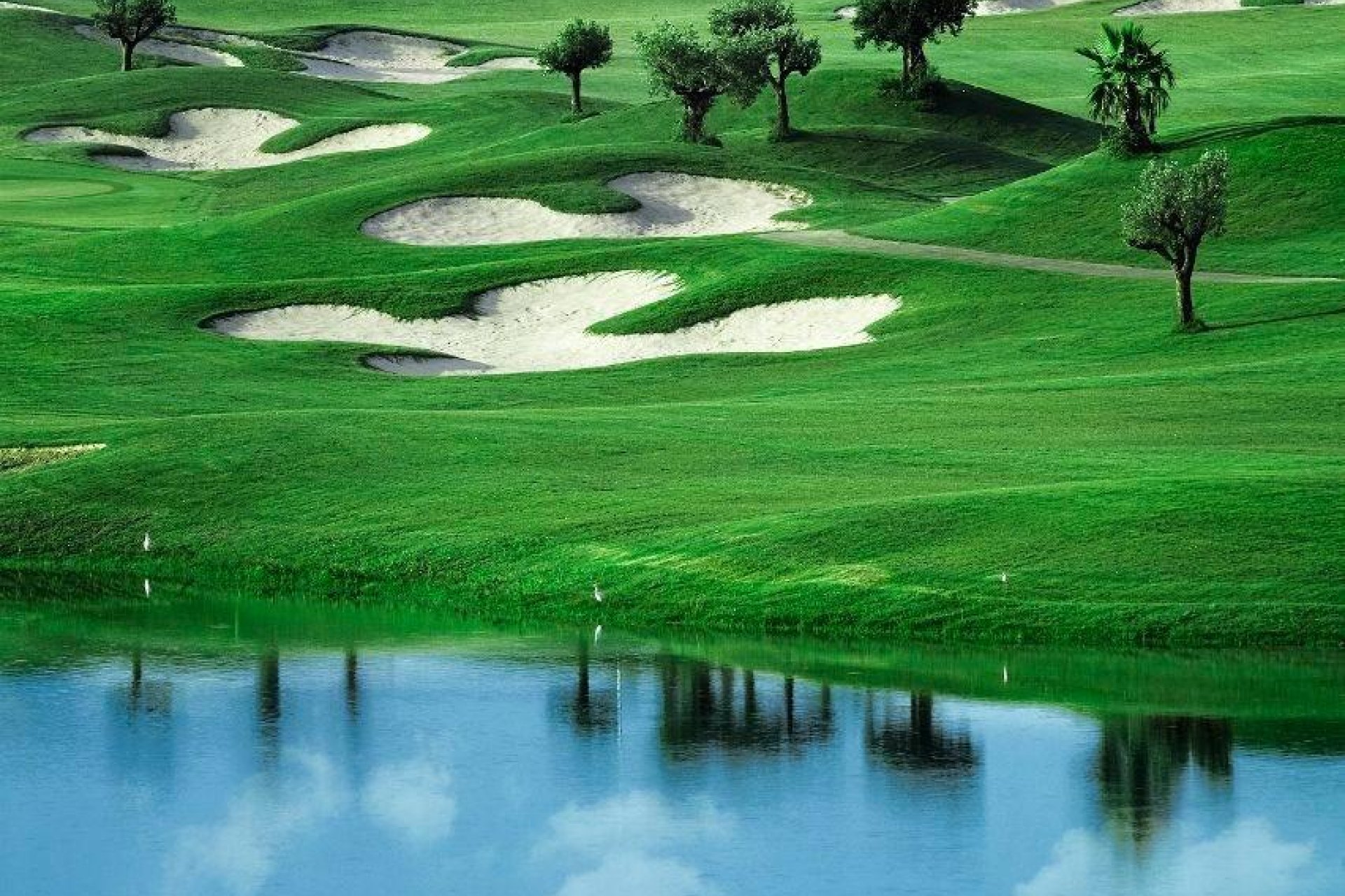 New Build - Villa - Orihuela Costa - Vistabella Golf