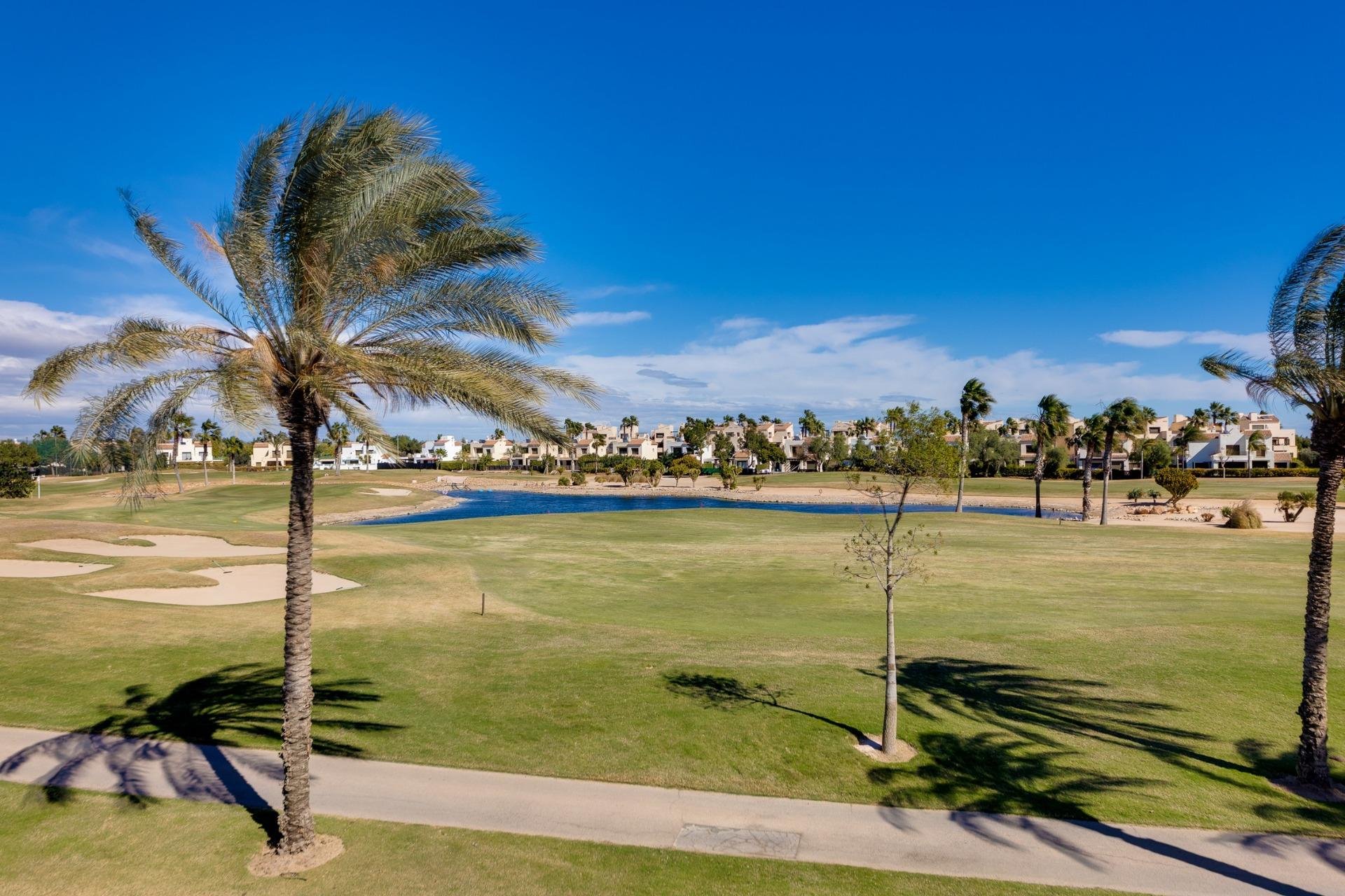 New Build - Villa - Pilar de la Horadada - Lo Romero Golf