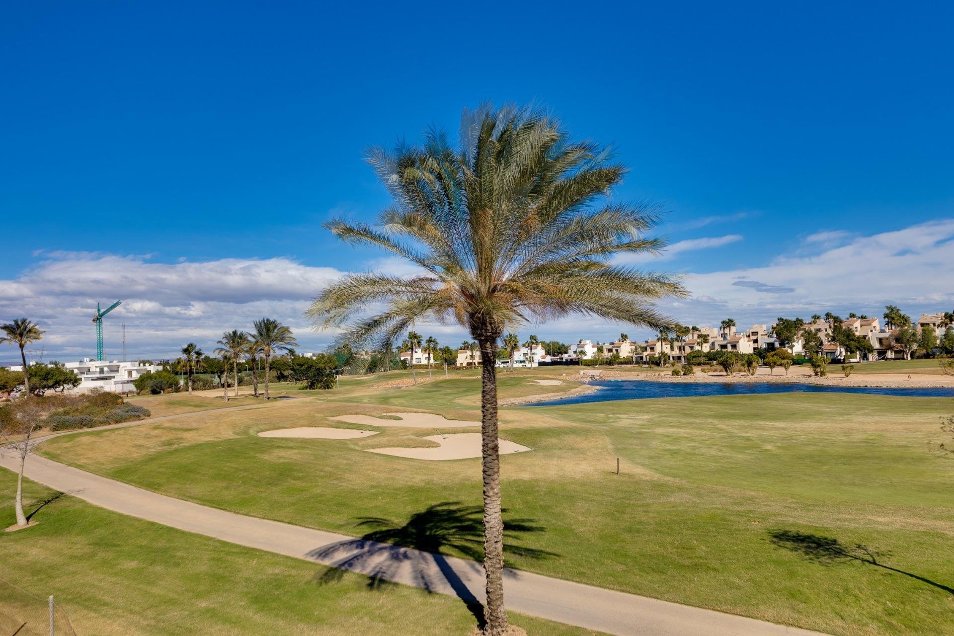 New Build - Villa - Pilar de la Horadada - Lo Romero Golf