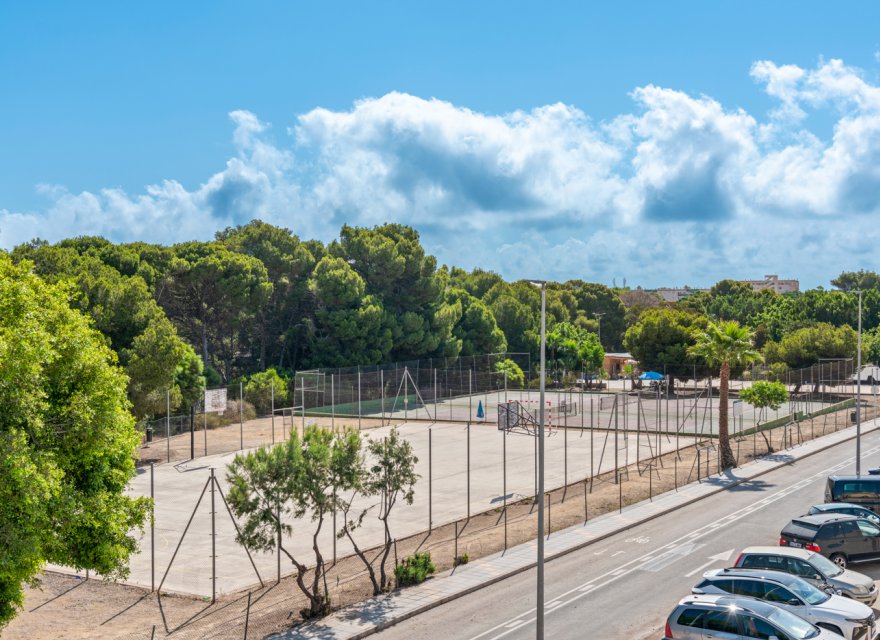 New Build - Villa - Pilar de la Horadada