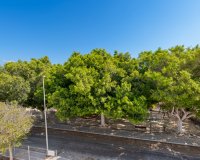 New Build - Villa - Pilar de la Horadada