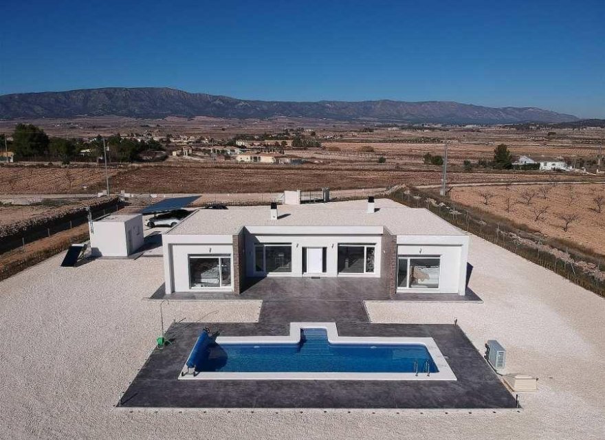 New Build - Villa - Pinoso - Camino Del Prado