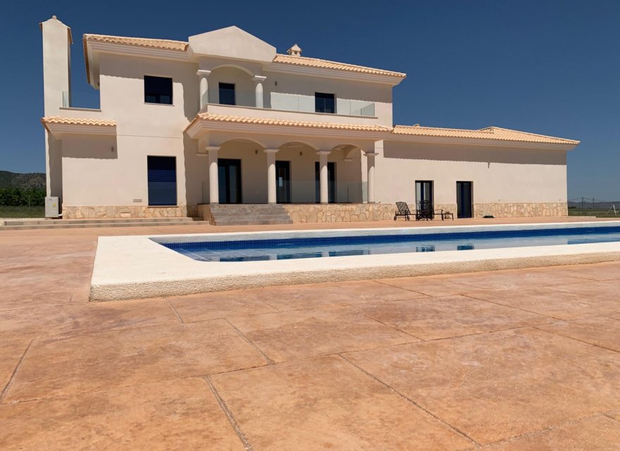 New Build - Villa - Pinoso - Camino Del Prado