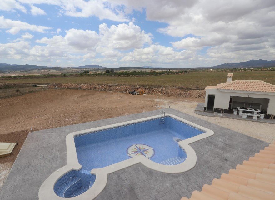 New Build - Villa - Pinoso - Camino Del Prado