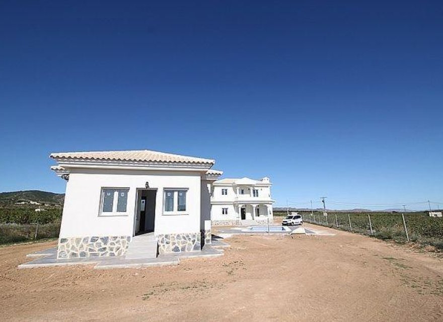New Build - Villa - Pinoso - Camino Del Prado