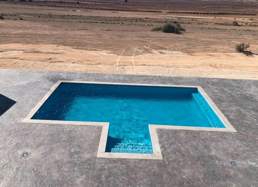 New Build - Villa - Pinoso - Camino Del Prado